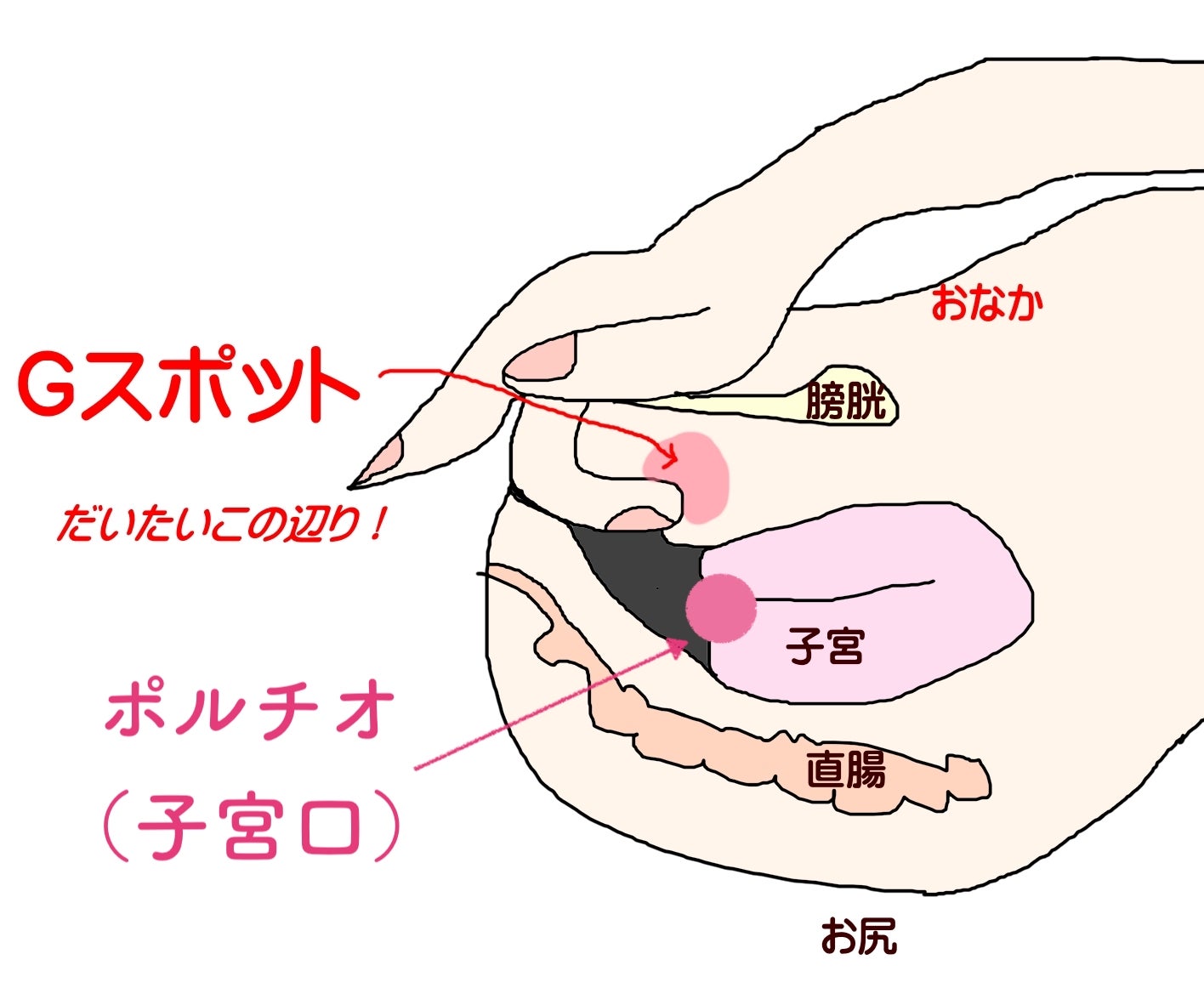 空いた手で中イキ練習できる！？当てると、止まらない~最強のおもちゃん--「Toycod Tara X」レポ漫画