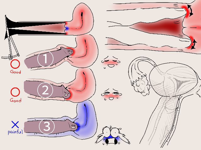 体外式ポルチオとは？腹イキ開発のやり方やイキ方のコツ、おすすめグッズ等を紹介｜風じゃマガジン