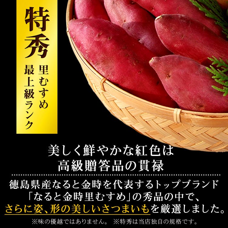 小錦さん、腎移植手術公表 - 徳島経済新聞