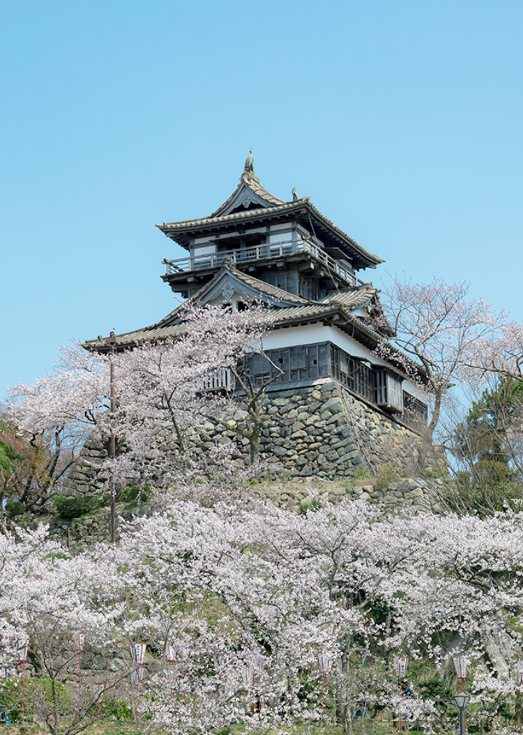 小野寺昭(Onodera Akira) FROM