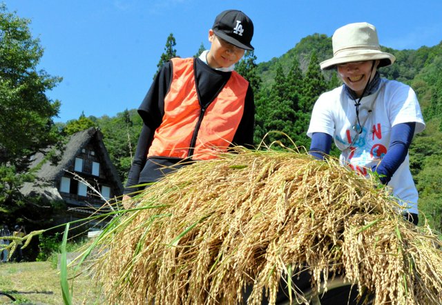 神戸市東灘区】国道２号線『うどん 笑楽（わらく）』さん 8月5日オープン！ ラーメン→スンドゥブ鍋専門店→うどん |