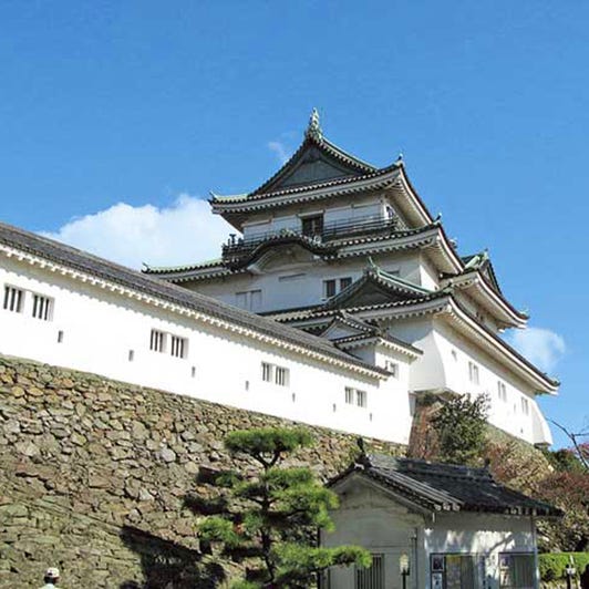 今回は和歌山城周辺にある レジャーホテルを5つご紹介🏩🏯 和歌山城のみならずアロチや アドベンチャーワールドなど