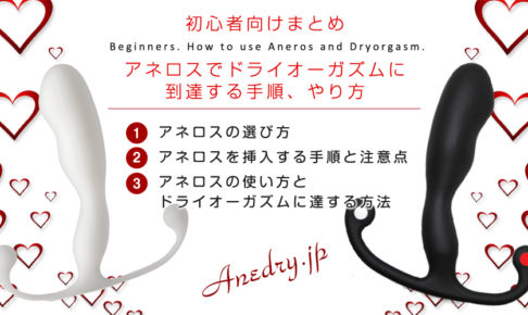 メス堕ち志願者募集中…乳首の奥に眠るメス遺伝子を活性化させるメスイキ実験 [被支配中毒] |