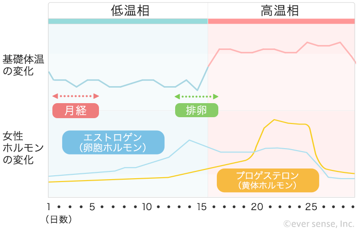 更年期】閉経後の女性が注意すべき病気と体調不良 | ハルメク美と健康