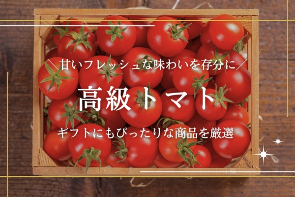 ふるさと納税 ＜ 2025年8月上旬より発送