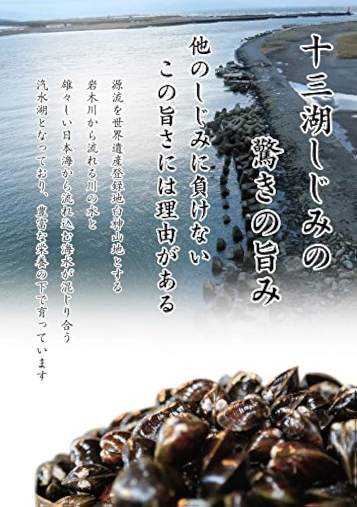 津軽十三湖産 大粒しじみ冷凍1.6kg （冷凍・砂抜き済）