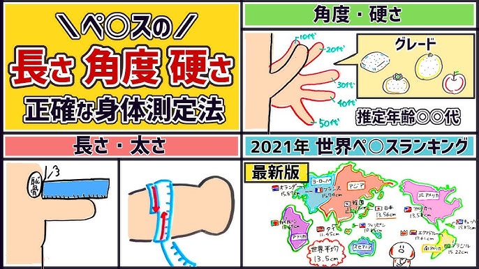 ペニス・チンコの正確な長さ・太さの測り方【図解】 | イケオジの嗜み