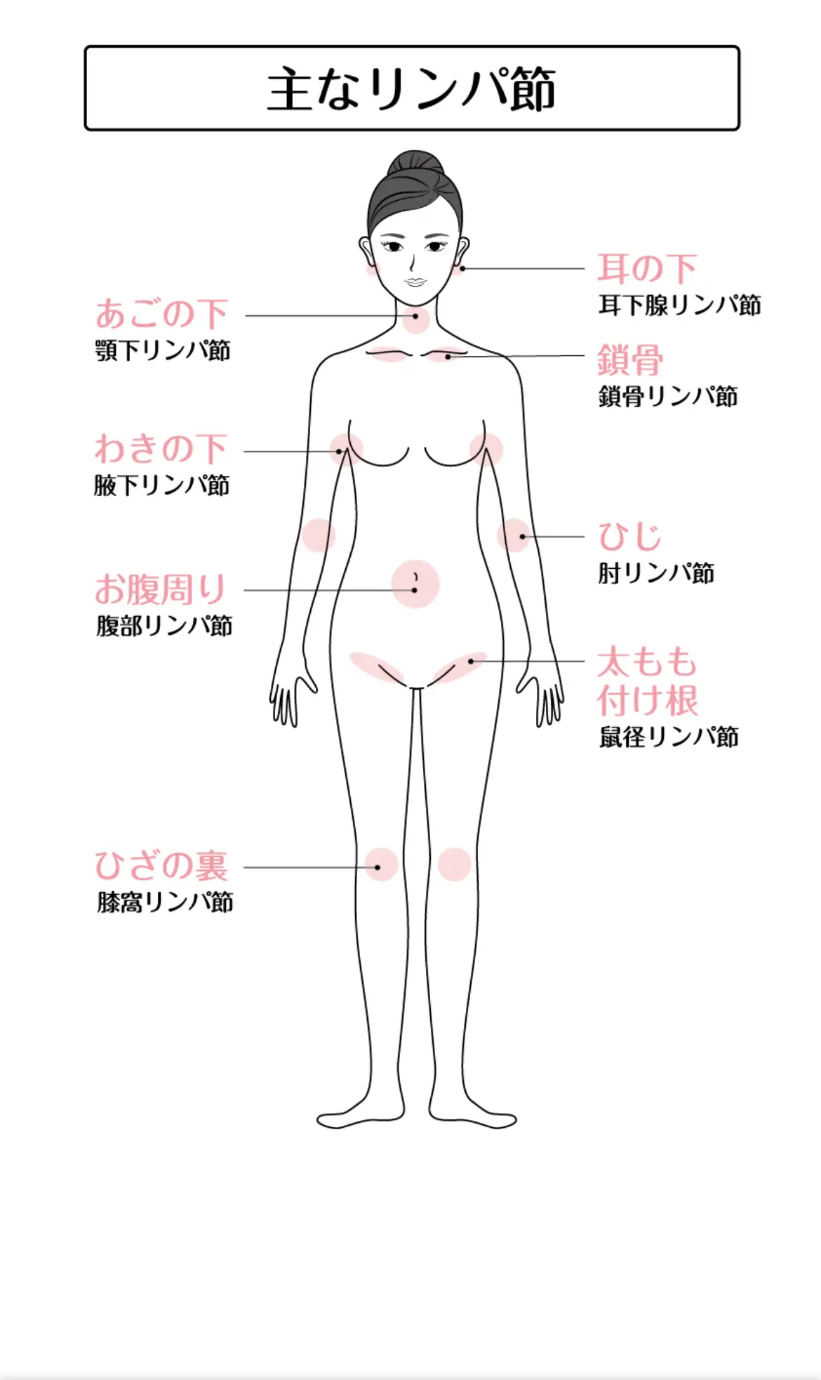 お腹やせ』〜上半身プログラム - 一般社団法人