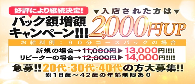 新潟市の風俗求人[新潟ナイトナビ求人 - 風俗]