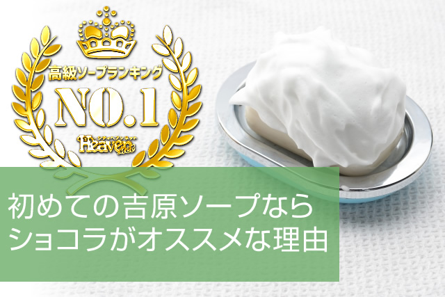 歴史ある風俗街・ソープ街の吉原を徹底解説！その特徴やおすすめ店を紹介｜駅ちか！風俗雑記帳