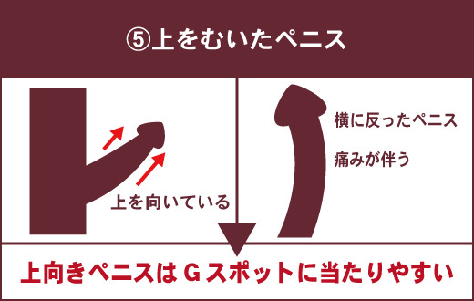 変態女が解説】ちんこが大好きな女性が教える魅力！女子はちんこのこんなところが好き！ | Trip-Partner[トリップパートナー]