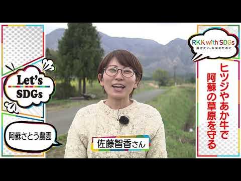 佐藤千佳さん | モデル、インフルエンサー、タレント、芸能人、講演会講師のキャスティング、出演・仕事依頼ならCLOUDCASTING