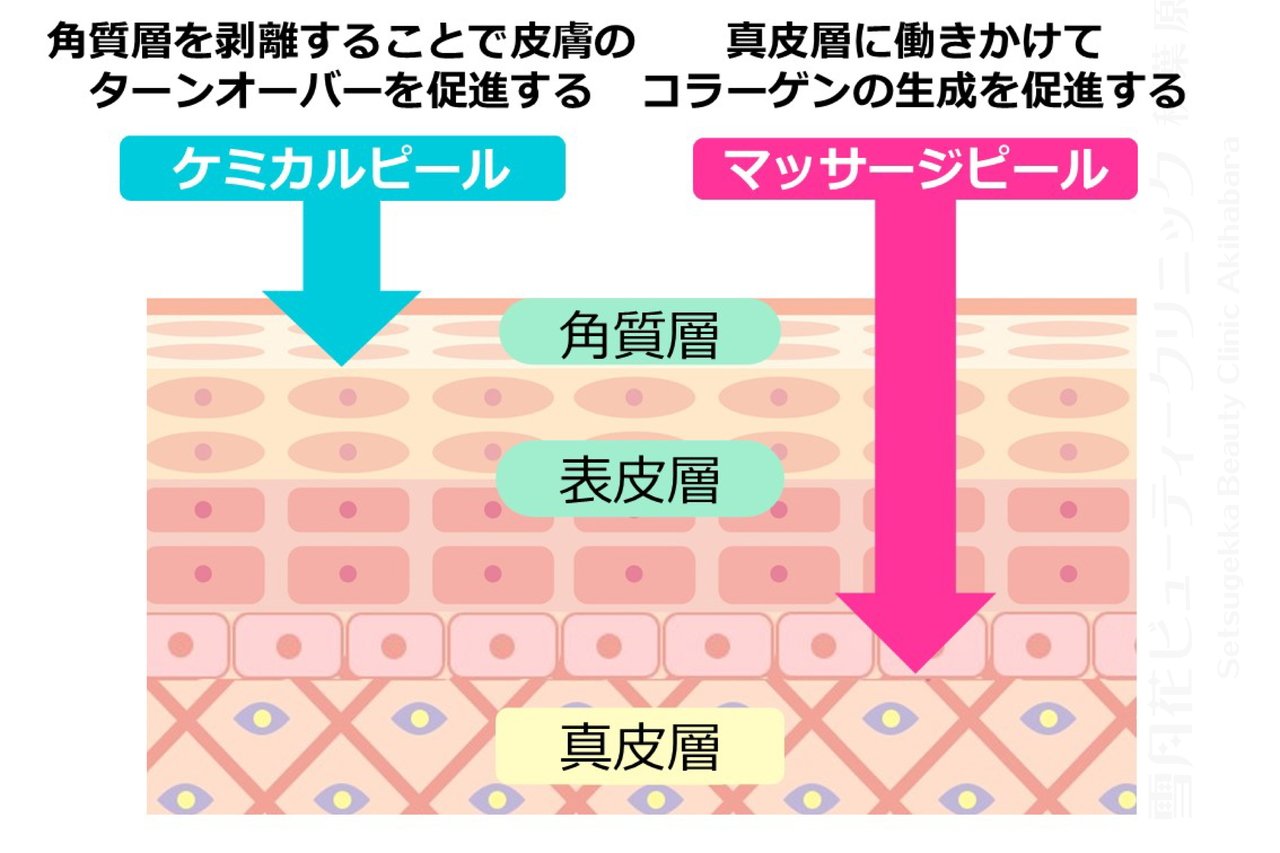 無料体験マッサージ・はりきゅう - 〈公式〉末広はりきゅう治療院・訪問鍼灸・訪問マッサージ・東京都葛飾区