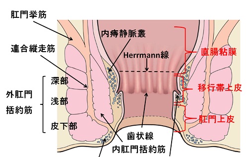 40代女性がセックスの後に膣内痛みで耐えられなくなる原因は性病のうたがい【産婦人科医監修】 - 