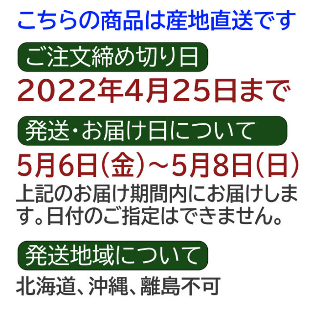 ファーストレディ体験レポート：福岡メンズアロマZUKAN -体験レポート編-