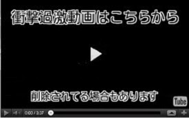 噂の検証]７０年代デビュー当時から現在まで奇跡の美貌を保ち続ける「いとうまい子」さんのまとめ＆双子のリリーズは、いつまでも、そっくりなのか？