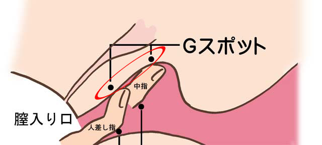 潮吹きしたかった私が実践した、吹くためのコツと練習方法 | オトナのハウコレ