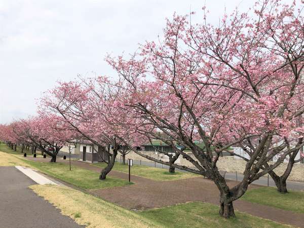 ホテルサンルート栃木 栃木県 宿泊・旅館・ビジネス・トラベルサーチ