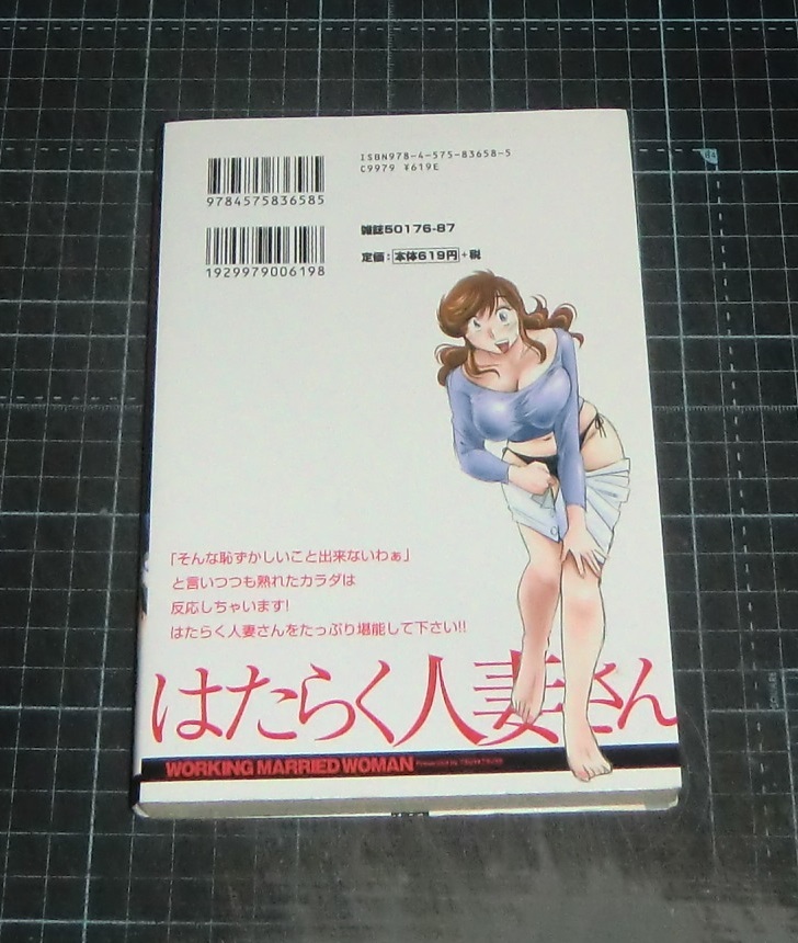 普通の人妻の非日常体験 | 若宮にのさん