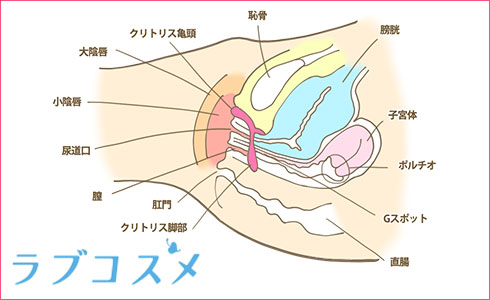 Gスポット、AGスポットの愛撫方法 /前編 - YouTube