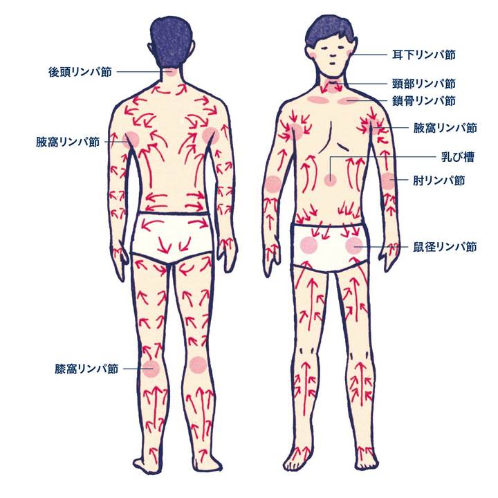 お腹痩せに効果的なリンパマッサージ｜コラム｜銀座ナチュラルタイム-銀座駅から徒歩1分の極上リンパマッサージ