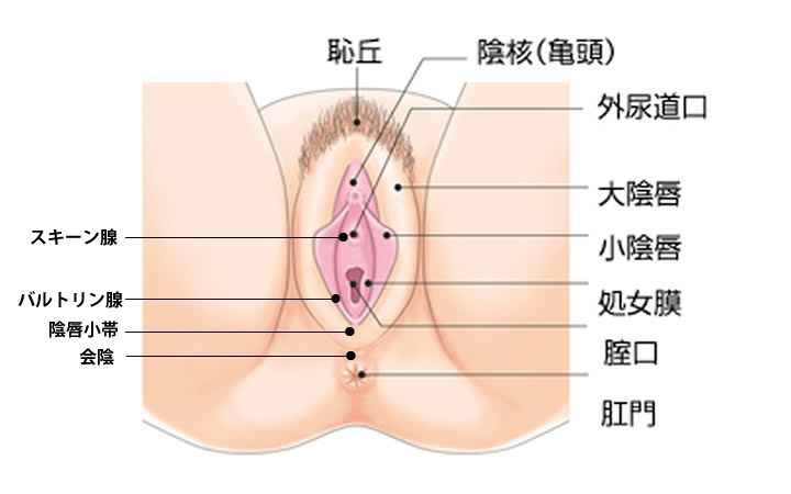 こんなに気持ちいいクンニ初めて…夫以外の男性のセックスに信じられないくらいに感じちゃうｗ｜女性向けの無料アダルト動画なら｜LOVELY☆LABO