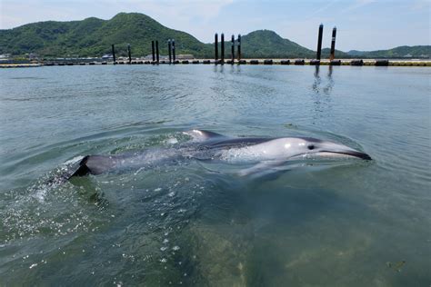 高松さぬき市津田町の売モーテル ｜ 徳島の小さな不動産屋! |