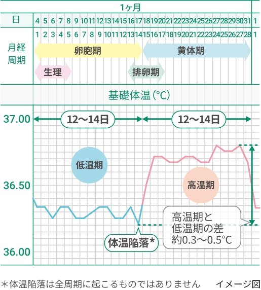 これは完全に落語である。『倍速』／下ネタもあるよ①｜藤子Ｆノート