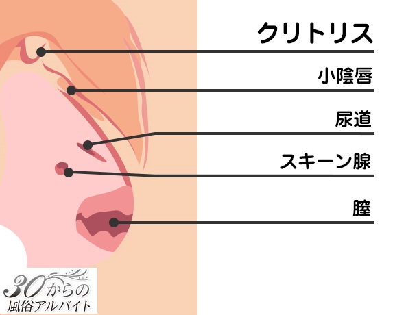 潮吹きの真実とは？調べてみた - DLチャンネル みんなで作る二次元情報サイト！