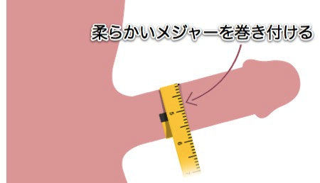 日本人の亀頭の太さ平均は3.53cmだった！カリ高ペニスになる為に出来る事｜あんしん通販コラム