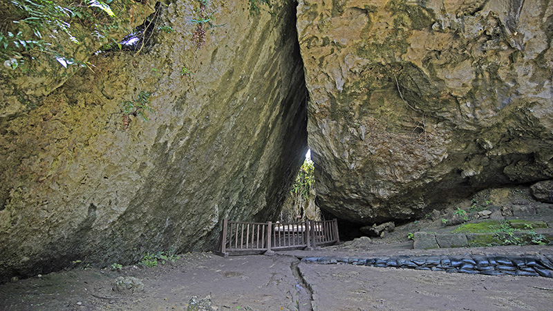 斎場御嶽 (観光情報) （観光情報）