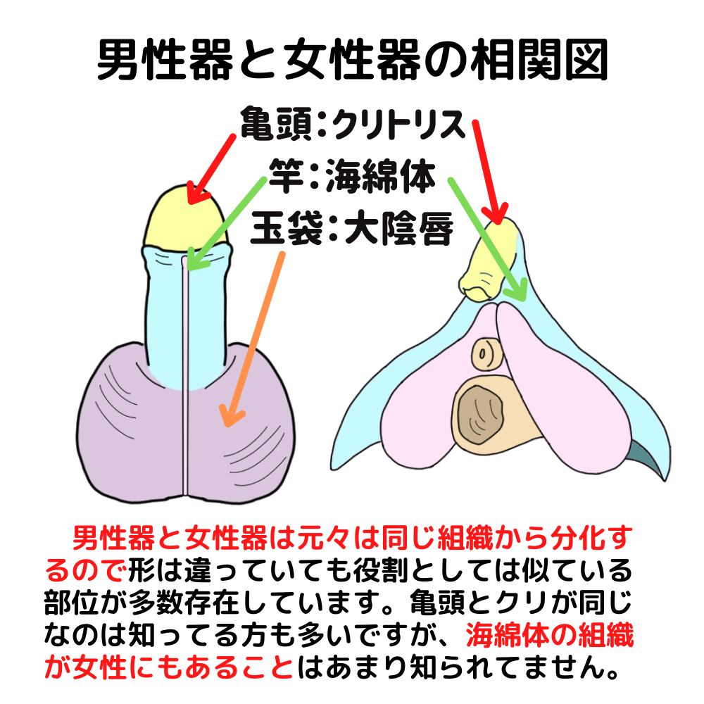 中イキのやり方｜最初は感じなかった私がイケた方法