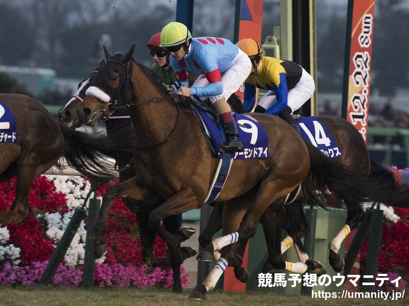 カベポスター浜田(競馬) (@kabehamada) / X