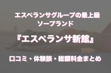 ハッピーブリッジ｜川崎のソープ風俗男性求人【俺の風】