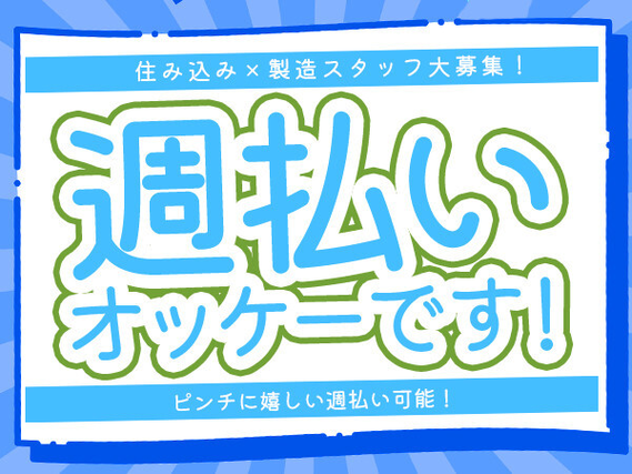 湘南合同就職面接会 日時:2023年1月25日(木) 10:30〜13:00（最終受付12:30） 会場:藤沢商工会館（ミナパーク） 