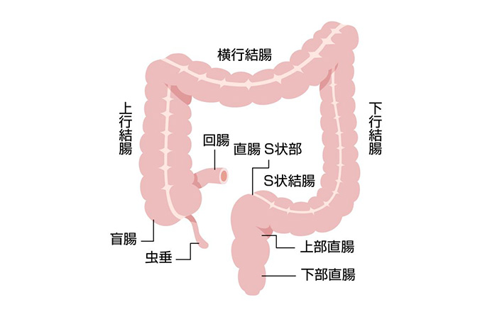 駿河屋 -【アダルト】<中古><<名探偵コナン>> かいしんすけべぶっく vol．3