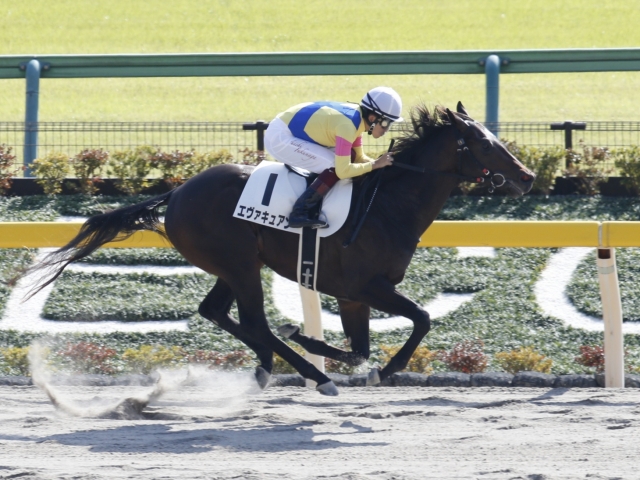 新馬/東京5R】断然人気プリティディーヴァが良血馬の争いを制する | 競馬ニュースなら競馬のおはなし