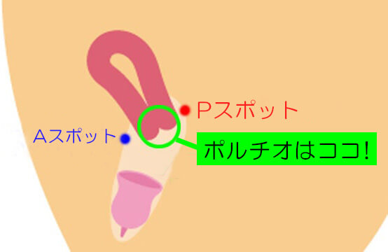 女性のオーガズム１２種類まとめ