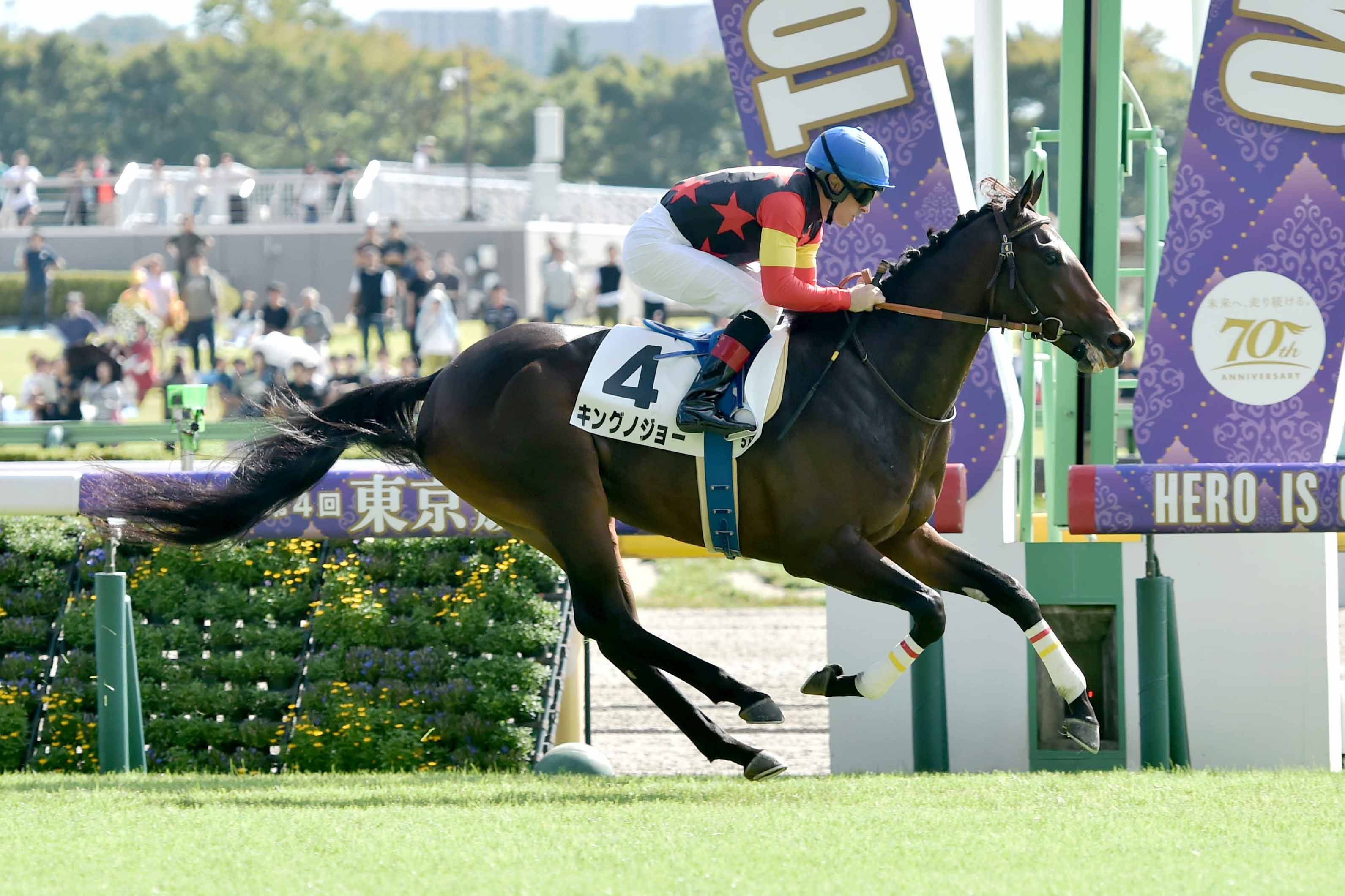 JRA 東京 2024年10月26日 5レース