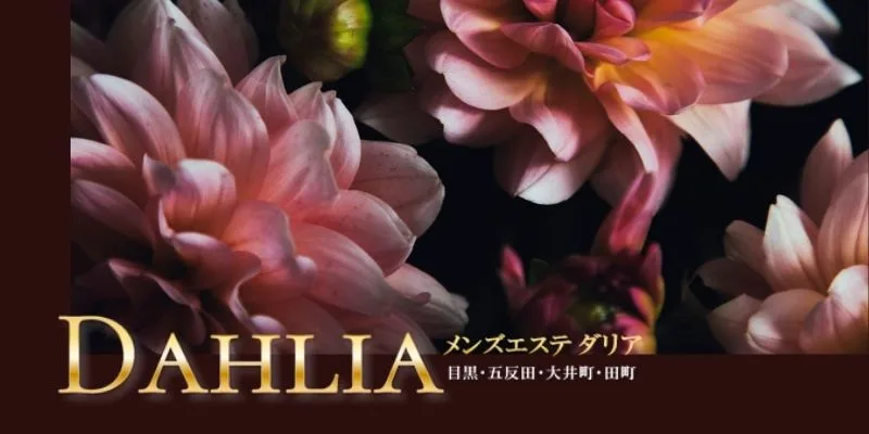 DAHLIA 目黒・五反田店 | 五反田・品川