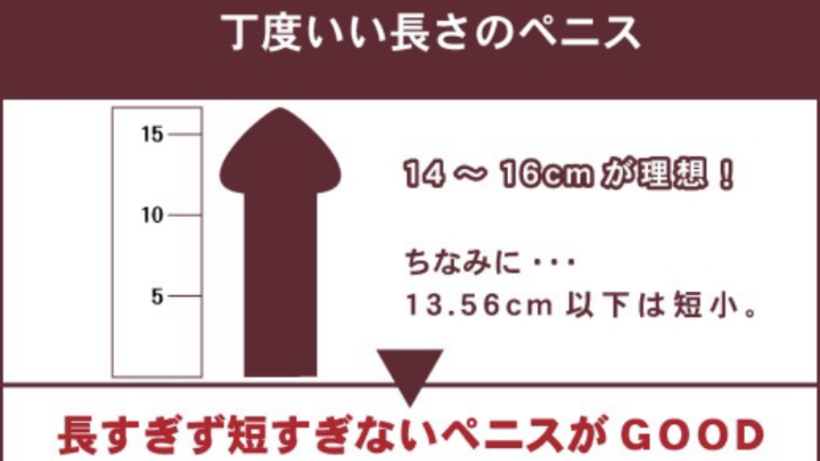 巨根サイズはどこから？】15cm以上、500円玉より太ければデカチンと言える｜あんしん通販コラム