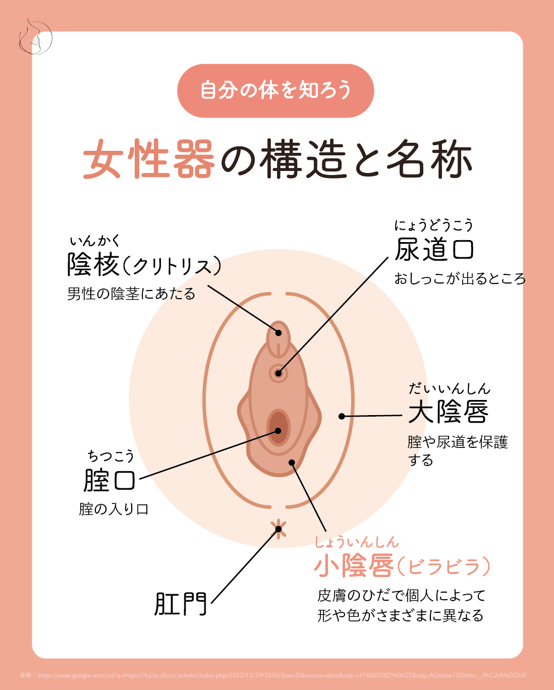 性的快感＝オーガズム”の仕組みを麻酔科医師が徹底解説！ 性をもっと快適に楽しむ方法とは？ |