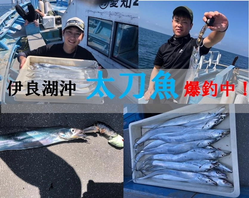 日間賀島 調査行ってきました♪ アオリイカが爆・爆・爆釣!!!!】エギング超絶好調＾＾入れ食いタイムも♪夢の日間賀島へGo!!!【イシグロ半田店】 |