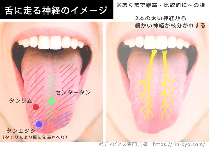 セルフで舌ピアスを開けた！舌ピアスの意味や開け方について