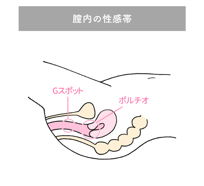 中イキ・奥イキの科学：女性を中イキさせるためのテクニック – メンズ形成外科 | 青山セレス&船橋中央クリニック