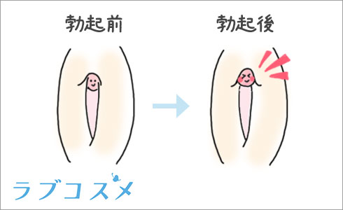 2024年最新版】クリトリスリングおすすめ5選！クリの感度が高まる気持ちいいクリリングは？ | WEB MATE