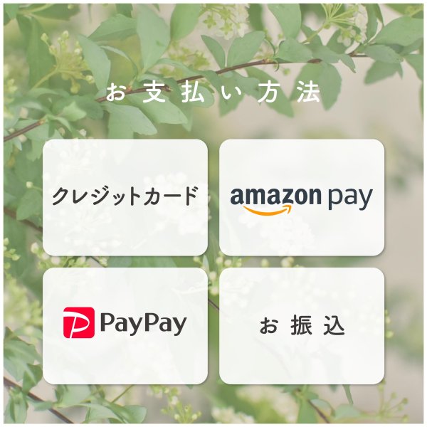 石鹸・ボディーソープ,PayPayのお礼品・返礼品一覧 | ふるさと納税サイト「さとふる」