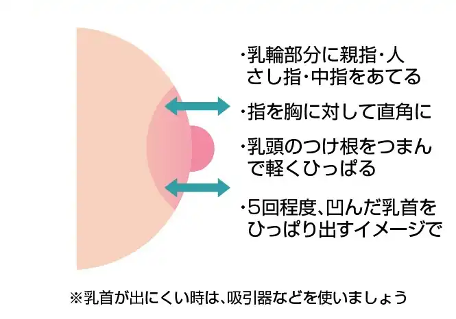 Amazon.co.jp: MiHaruTsu 陥没乳首 乳頭補正器