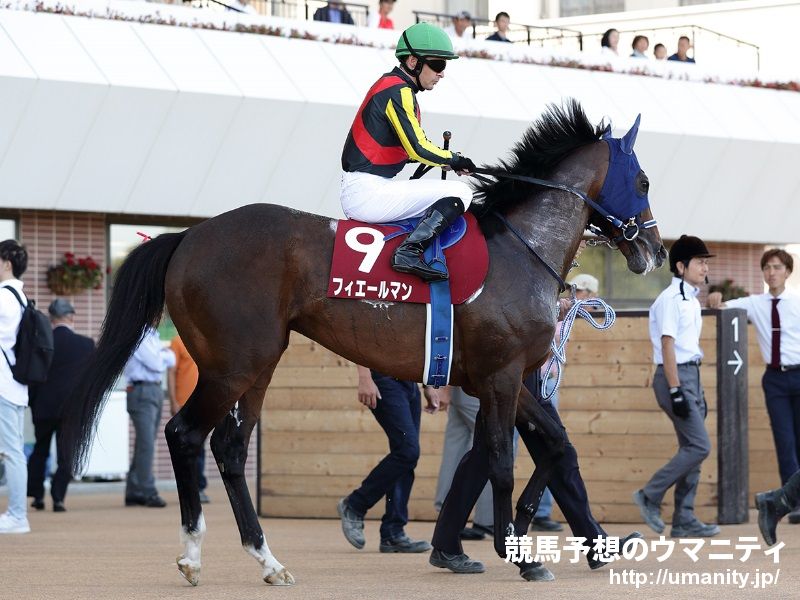 有名人の予想に乗ろう！】桜花賞2020 純烈・酒井さん、徳光さんほかズラリ！競馬大好き芸能人・著名人がファイナルジャッジ！｜競馬ニュース｜競馬予想 のウマニティ