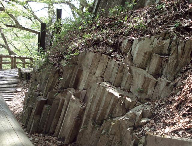 那須塩原 ととのう巡り旅 |